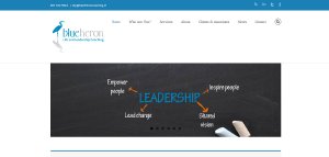 Blue Heron Leadership Coaching